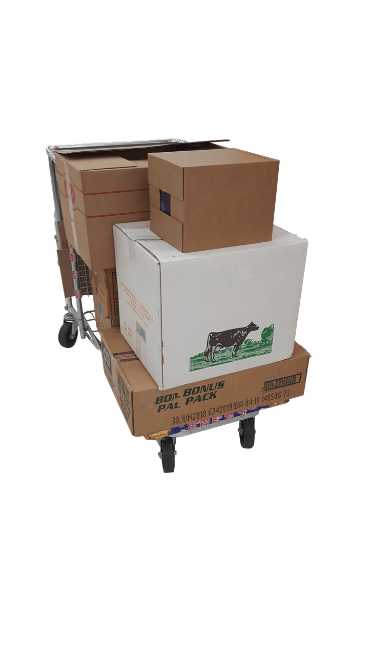 18pt Bottle Cartons