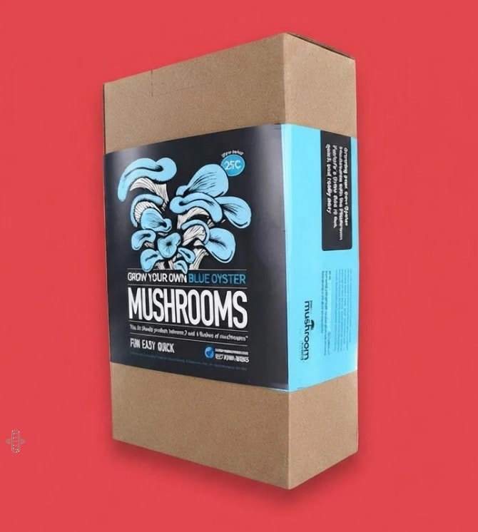 Custom Mushroom Boxes
