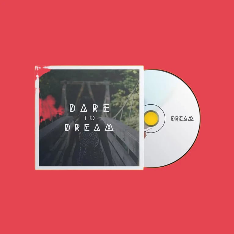 Custom Dvd Sleeves