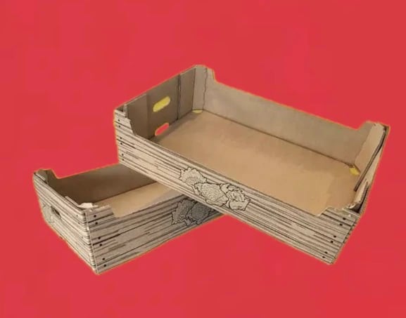 Custom Printed Household Large Trays