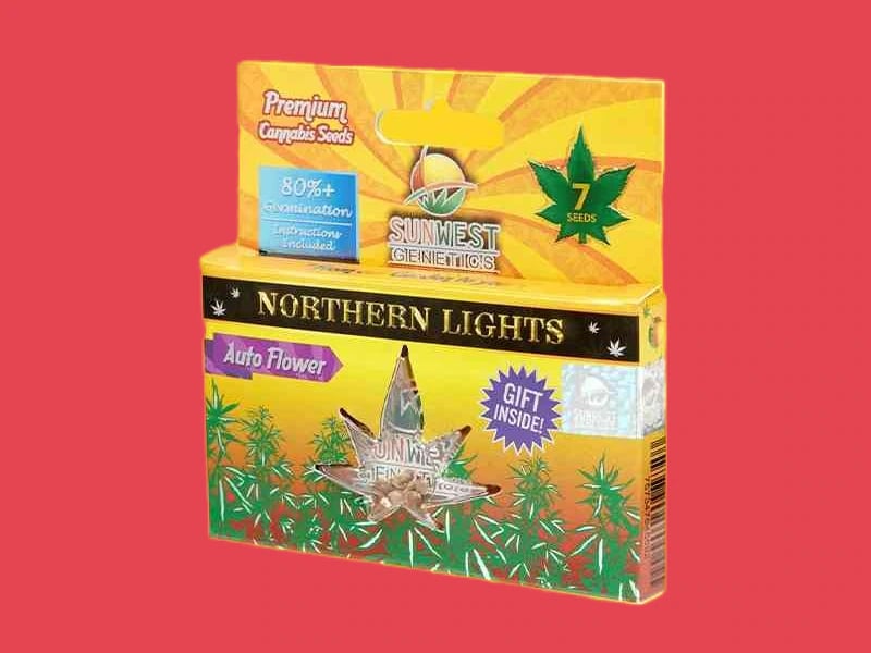 Custom CBD Seed Boxes